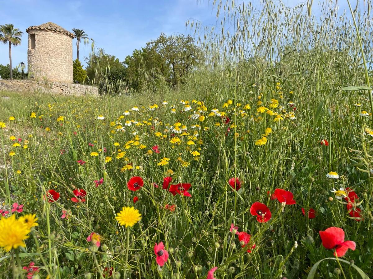 Finca Son Manera Montuiri  Bagian luar foto