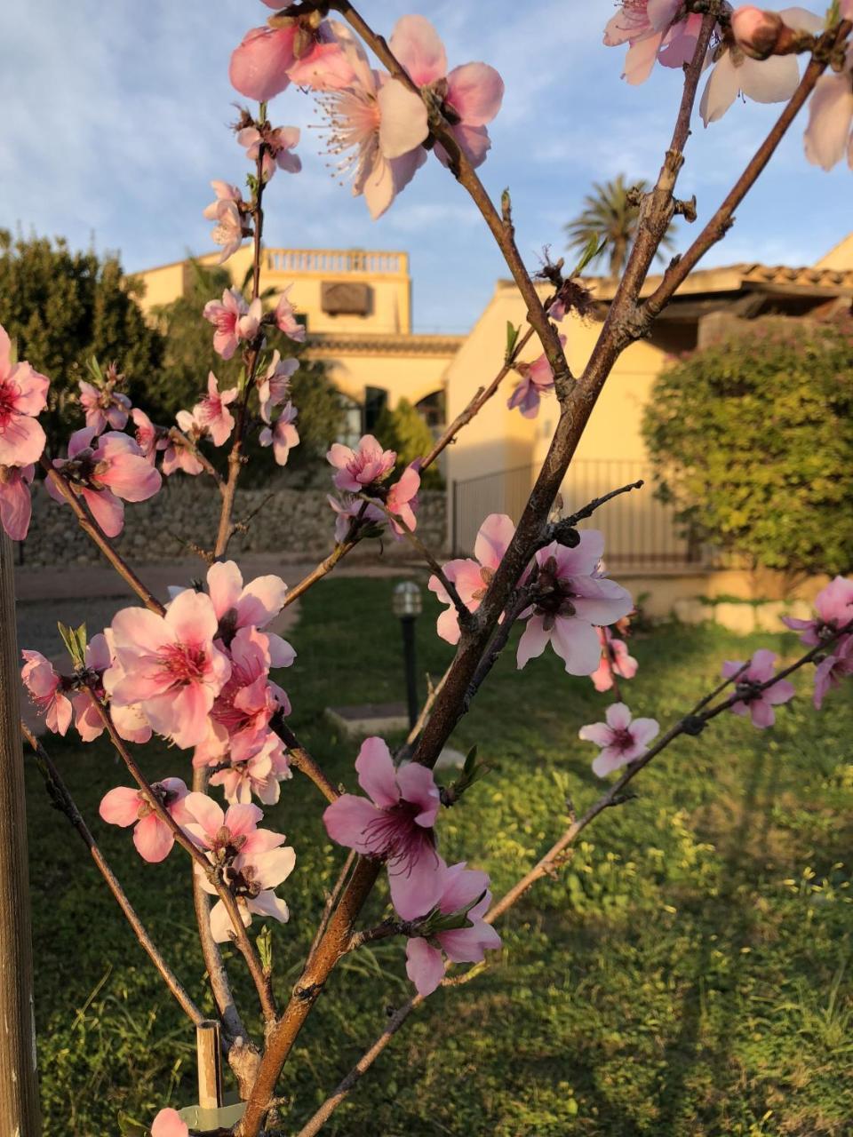 Finca Son Manera Montuiri  Bagian luar foto
